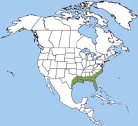 Aligator Range